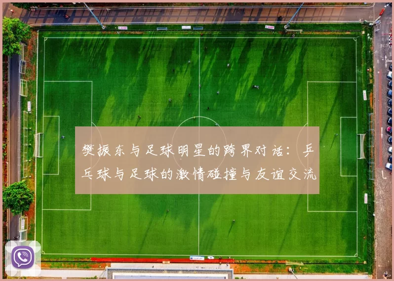 樊振东与足球明星的跨界对话：乒乓球与足球的激情碰撞与友谊交流