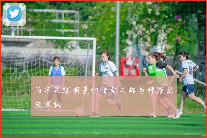 马字足球明星的传奇之路与辉煌成就探秘