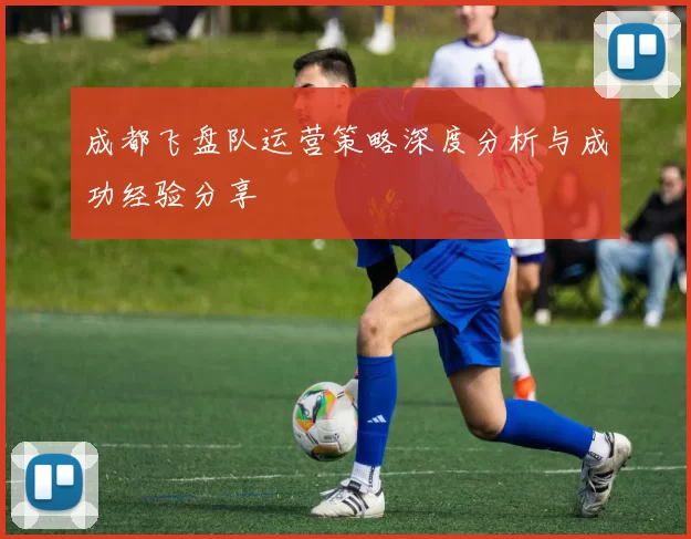 成都飞盘队运营策略深度分析与成功经验分享
