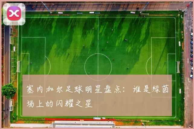 塞内加尔足球明星盘点：谁是绿茵场上的闪耀之星