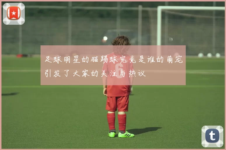 足球明星的猫踢球究竟是谁的萌宠引发了大家的关注与热议