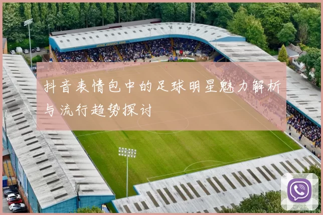 抖音表情包中的足球明星魅力解析与流行趋势探讨
