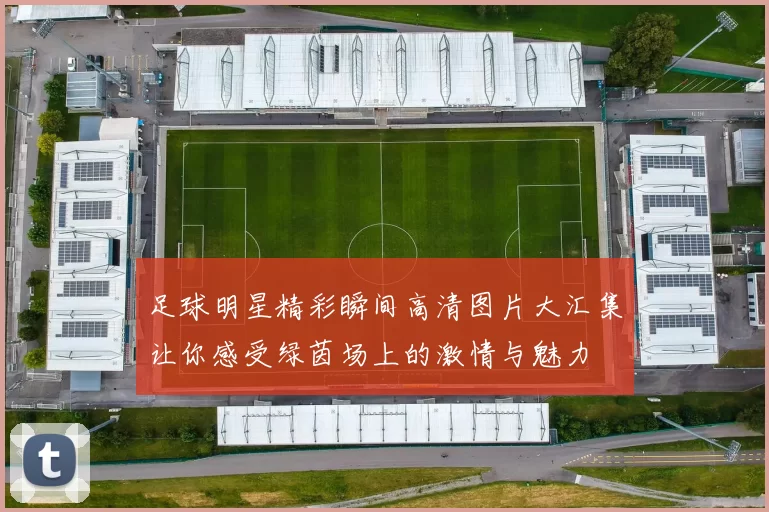 足球明星精彩瞬间高清图片大汇集让你感受绿茵场上的激情与魅力