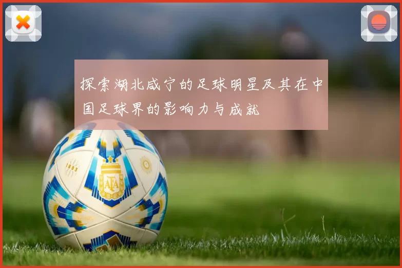 探索湖北咸宁的足球明星及其在中国足球界的影响力与成就