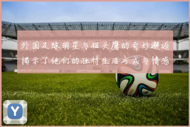 外国足球明星与猫头鹰的奇妙邂逅揭示了他们的独特生活方式与情感世界
