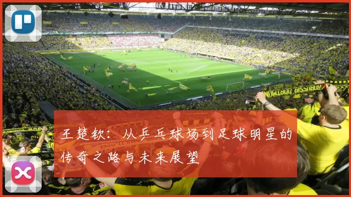 王楚钦：从乒乓球场到足球明星的传奇之路与未来展望