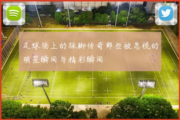 足球场上的踩脚传奇那些被忽视的明星瞬间与精彩瞬间