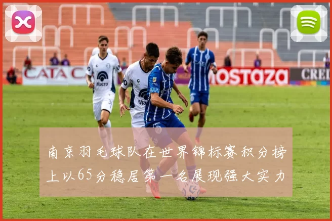 南京羽毛球队在世界锦标赛积分榜上以65分稳居第一名展现强大实力