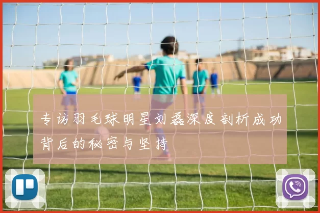专访羽毛球明星刘磊深度剖析成功背后的秘密与坚持
