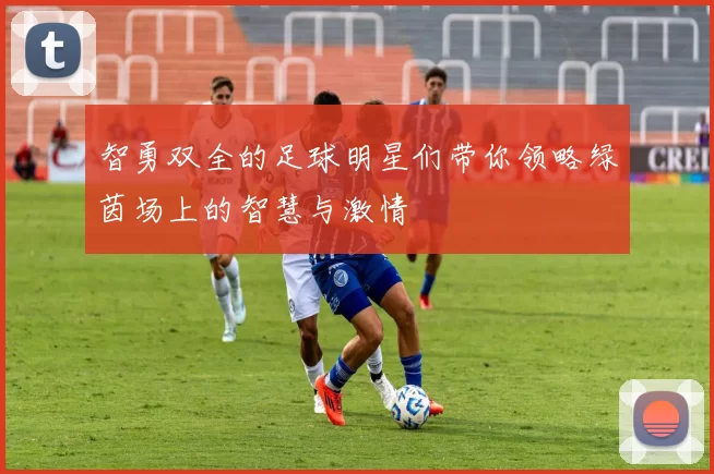智勇双全的足球明星们带你领略绿茵场上的智慧与激情