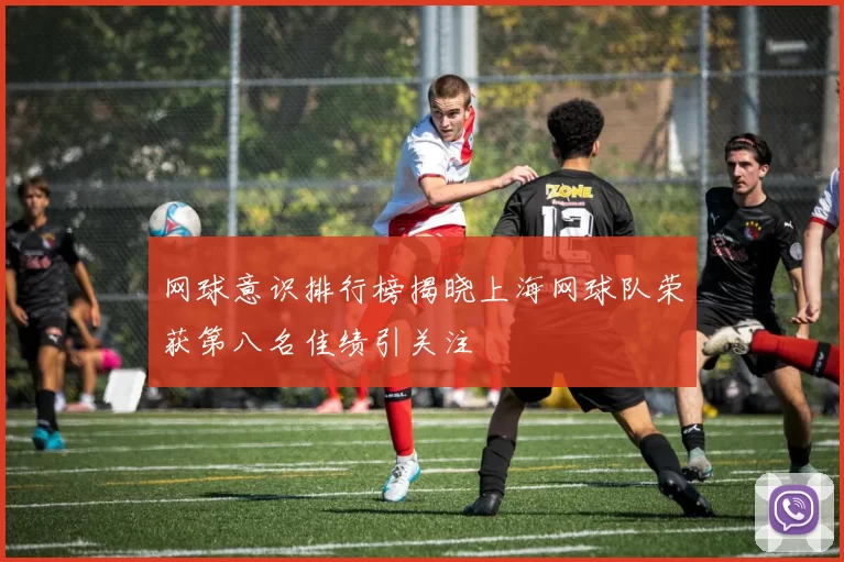 网球意识排行榜揭晓上海网球队荣获第八名佳绩引关注