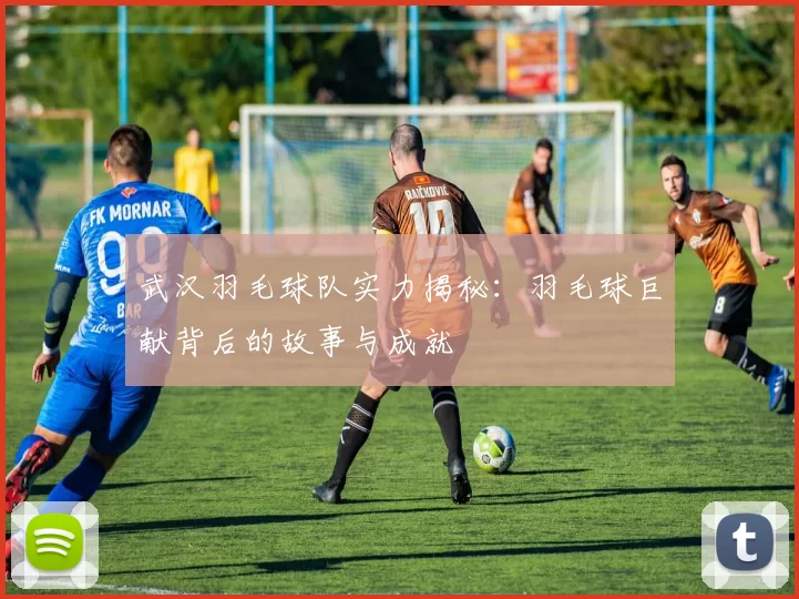 武汉羽毛球队实力揭秘：羽毛球巨献背后的故事与成就