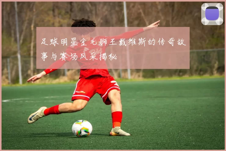 足球明星金毛狮王戴维斯的传奇故事与赛场风采揭秘