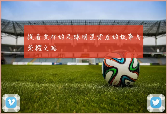 提着奖杯的足球明星背后的故事与荣耀之路