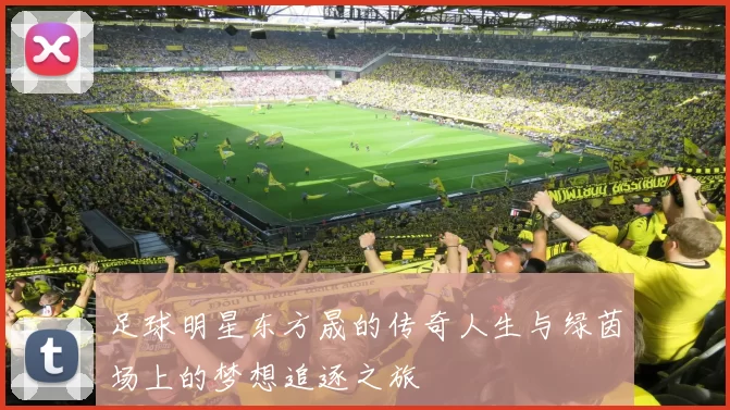 足球明星东方晟的传奇人生与绿茵场上的梦想追逐之旅